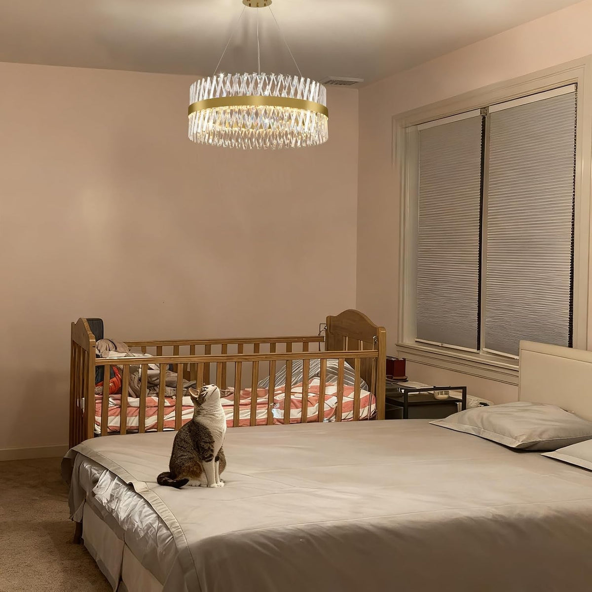 Seraphine Halo Chandelier