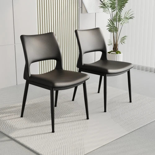 Solenne Minimalist Dining Chairs – Set of 2