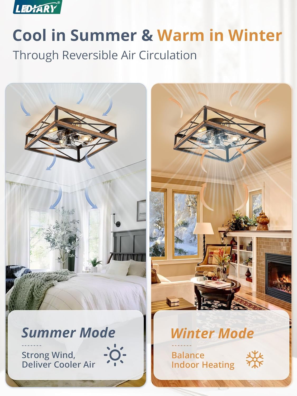 Black Caged Ceiling Fan