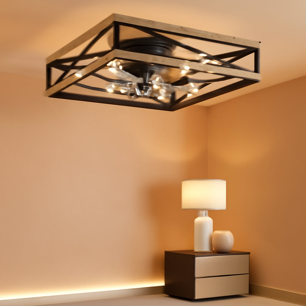 Black Caged Ceiling Fan